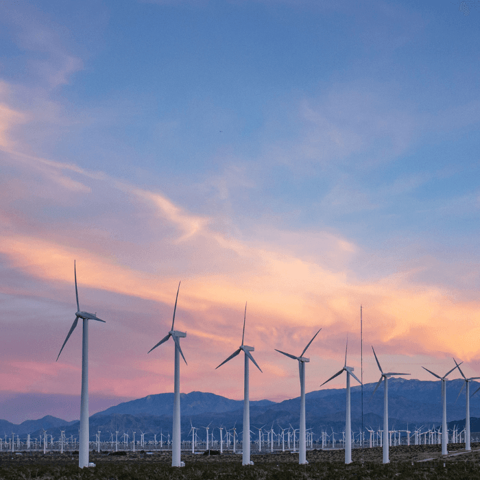 Who is Eligible for the EIC Accelerator Grant?