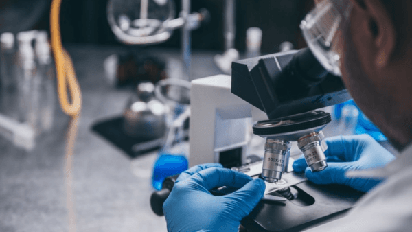 Merck shelves £1bn UK Expansion