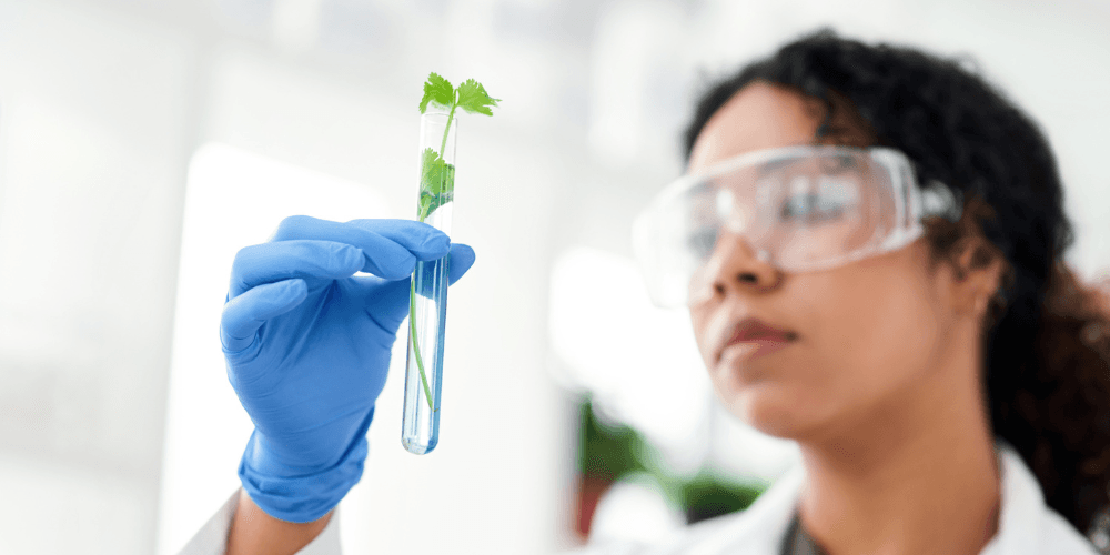 Future Leaders Fellowships Round 11 | £110m Fund