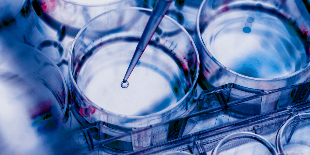 Engineering Biology Collaborative R&D Round 3: Up to £2.5 Million for Business-Led Innovation