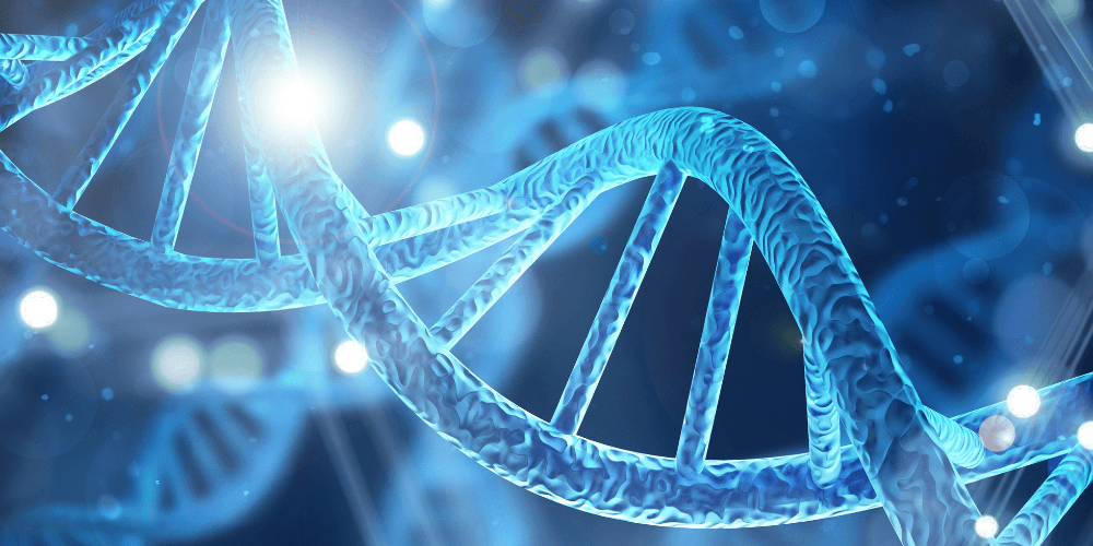 Engineering Biology Investor Partnerships Round 1: Up to £2 Million Grant Funding Plus Private Investment